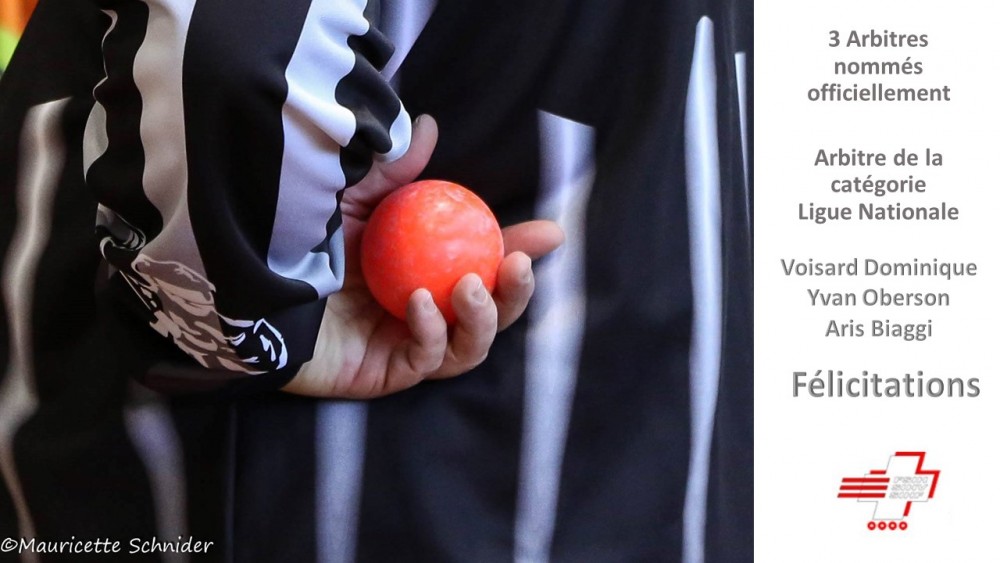 Arbitres nommés officiellement ( arbitre de la Catégorie "Ligue Nationale " )