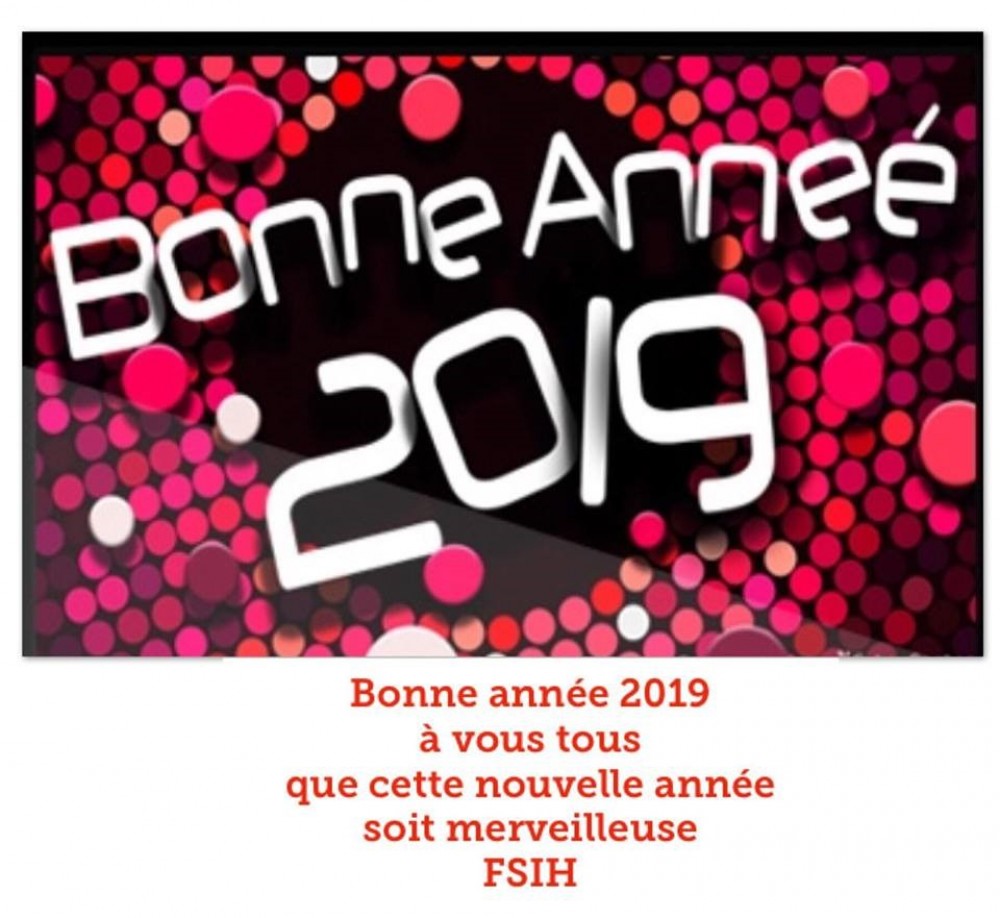 Bonne Année 2019 à vous tous 