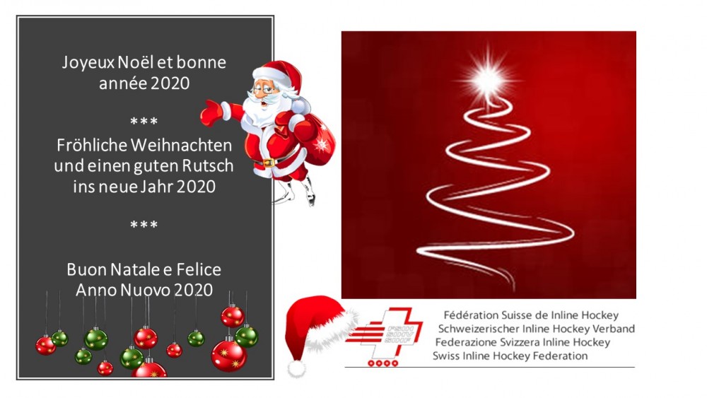 La FSIH vous souhaite de belles fêtes de fin d'année à tous : petit résumé de 2019 en image